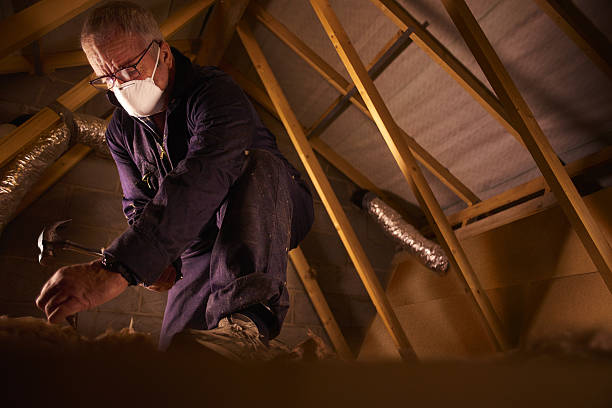 Best Cellulose Insulation in Chestnut Ridge, NY